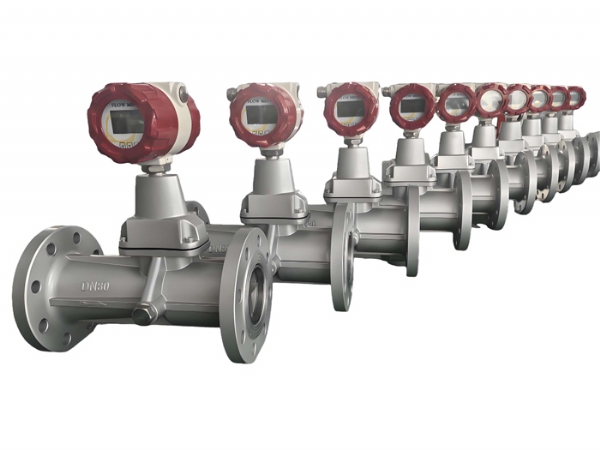 旋进旋涡流量计